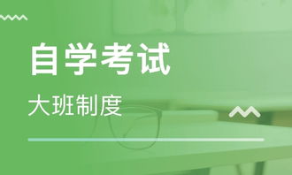 探索濟南心領秀教育咨詢有限公司 引領個性化教育新潮流